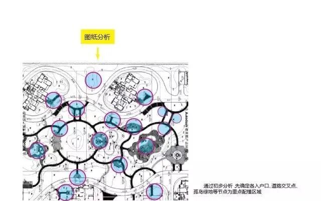 植物绿化空间设计营造手法_18 植物绿化空间设计营造手法_18