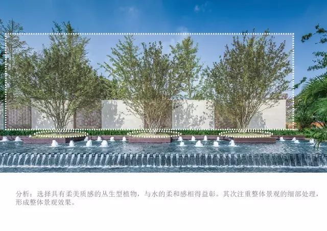 植物绿化空间设计营造手法_57 植物绿化空间设计营造手法_57