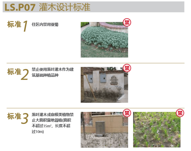 知名地产植物设计施工标准化（图文丰富）-灌木设计标准