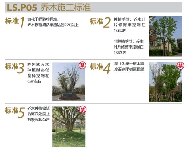 知名地产植物设计施工标准化（图文丰富）-乔木施工标准