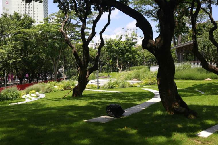 中康社区再生理想公园-69A1860 中康社区再生理想公园-69A1860