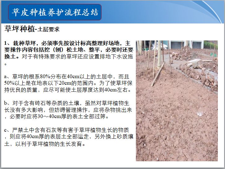 知名地产景观草皮种植总结(PPT)-草皮种植养护流程总结 知名地产景观草皮种植总结(PPT)-草皮种植养护流程总结