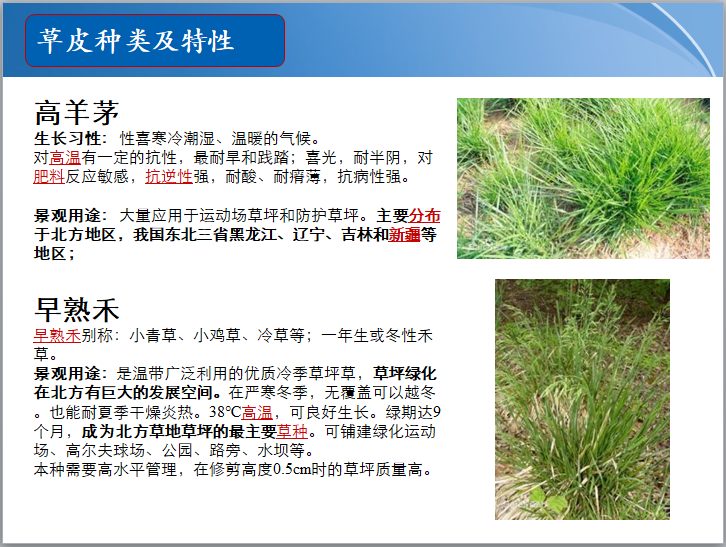 知名地产景观草皮种植总结（PPT）-草皮种类及特性