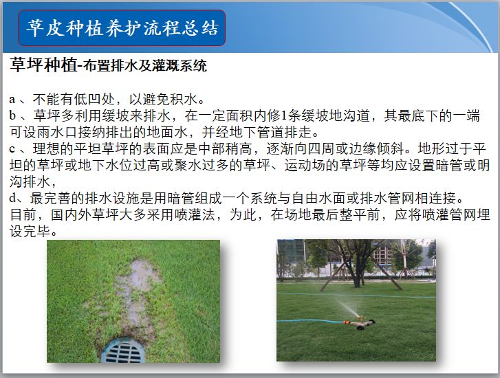 知名地产景观草皮种植总结(PPT)-草坪种植-布置排水及灌溉系统 知名地产景观草皮种植总结(PPT)-草坪种植-布置排水及灌溉系统