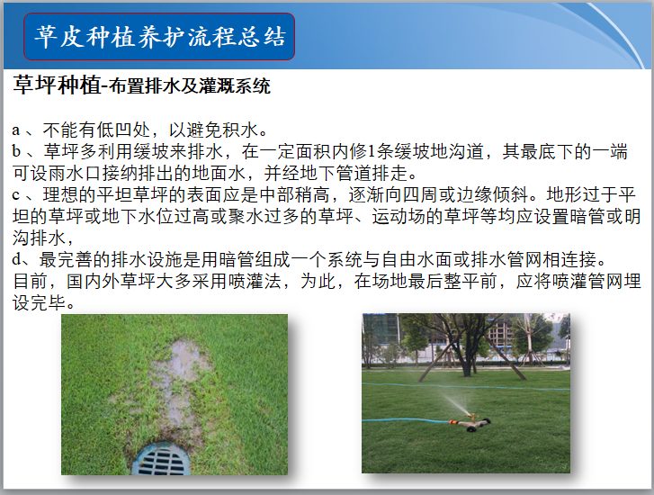 知名地产景观草皮种植总结（PPT）-草坪种植-布置排水及灌溉系统