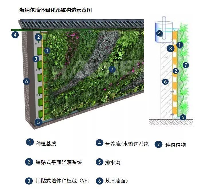 干货 | 垂直绿化工艺类型分析_7