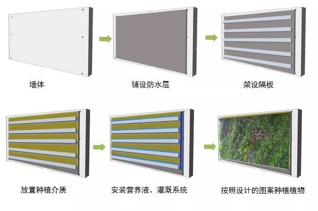 干货 | 垂直绿化工艺类型分析_8