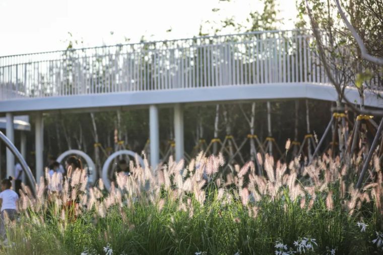 一次街心公园的探索 | 哈尔滨 · 万科鲸鱼悦_49