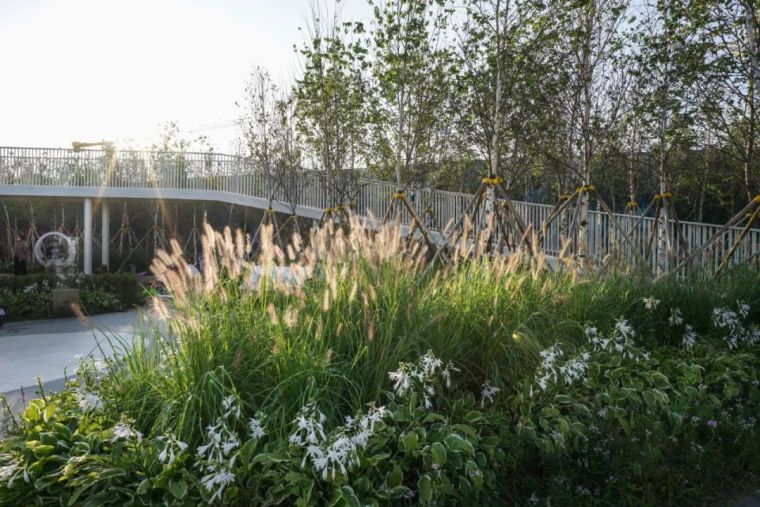 一次街心公园的探索 | 哈尔滨 · 万科鲸鱼悦_46