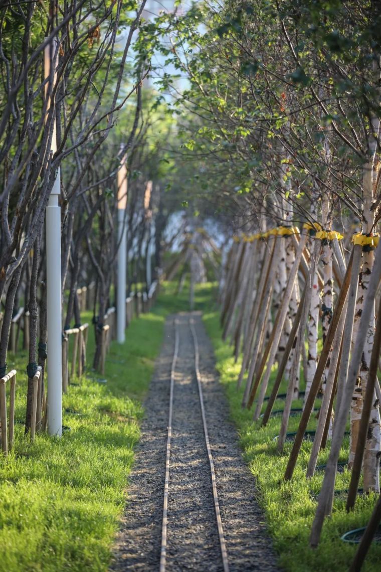 一次街心公园的探索 | 哈尔滨 · 万科鲸鱼悦_66