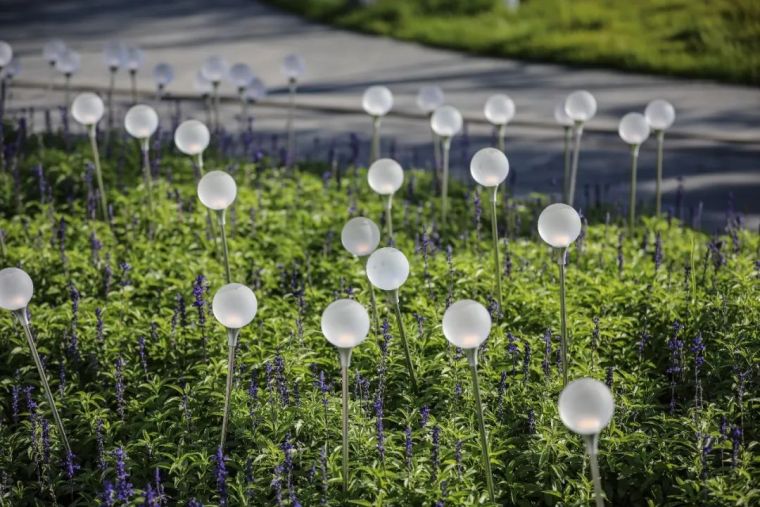 一次街心公园的探索 | 哈尔滨 · 万科鲸鱼悦_88