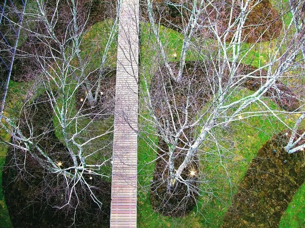 图片[60]-人居环境设计领域的诺贝尔奖——杰弗里·杰里科爵士奖-灵感屋