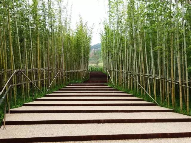 废弃矿坑改造,换来一片最美公园_55 废弃矿坑改造,换来一片最美公园_55