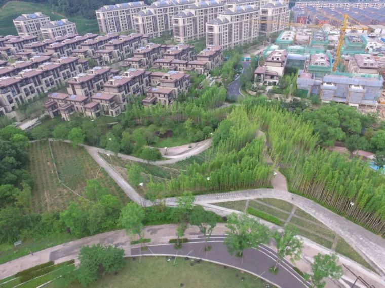 废弃矿坑改造,换来一片最美公园_64 废弃矿坑改造,换来一片最美公园_64
