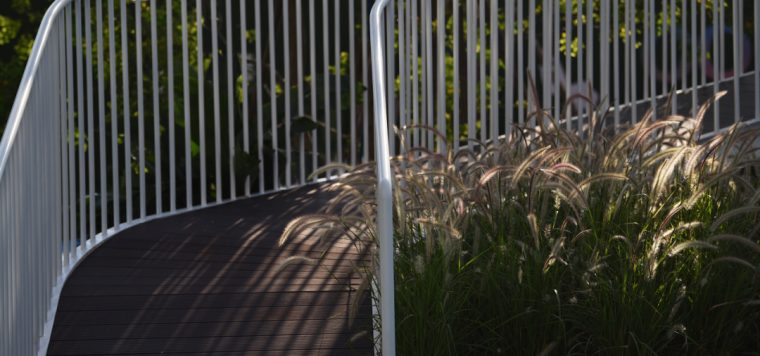 星河·智荟花园儿童成长社区_40 星河·智荟花园儿童成长社区_40