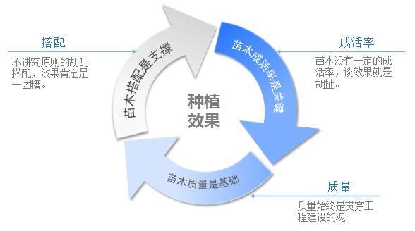 示范区景观施工质量把控要点