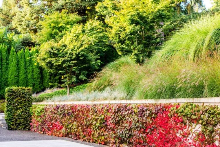 InSitu花园,美式乡村田园景观的代表_43 InSitu花园,美式乡村田园景观的代表_43
