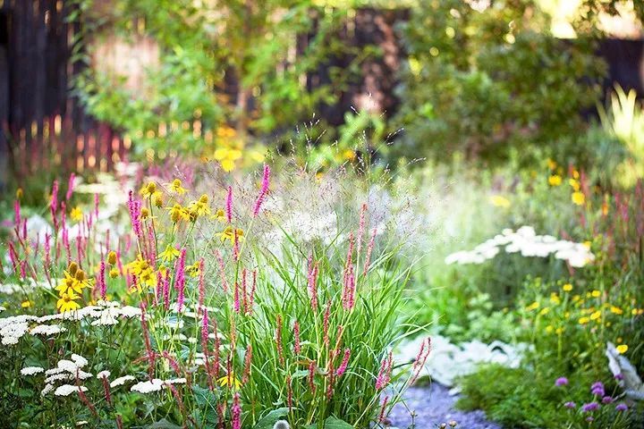 InSitu花园,美式乡村田园景观的代表_41 InSitu花园,美式乡村田园景观的代表_41