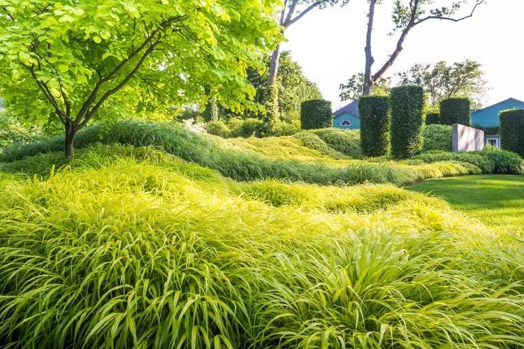 InSitu花园,美式乡村田园景观的代表_48 InSitu花园,美式乡村田园景观的代表_48