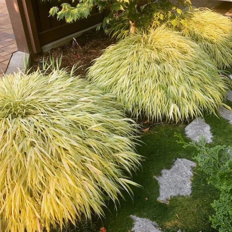 InSitu花园,美式乡村田园景观的代表_54 InSitu花园,美式乡村田园景观的代表_54