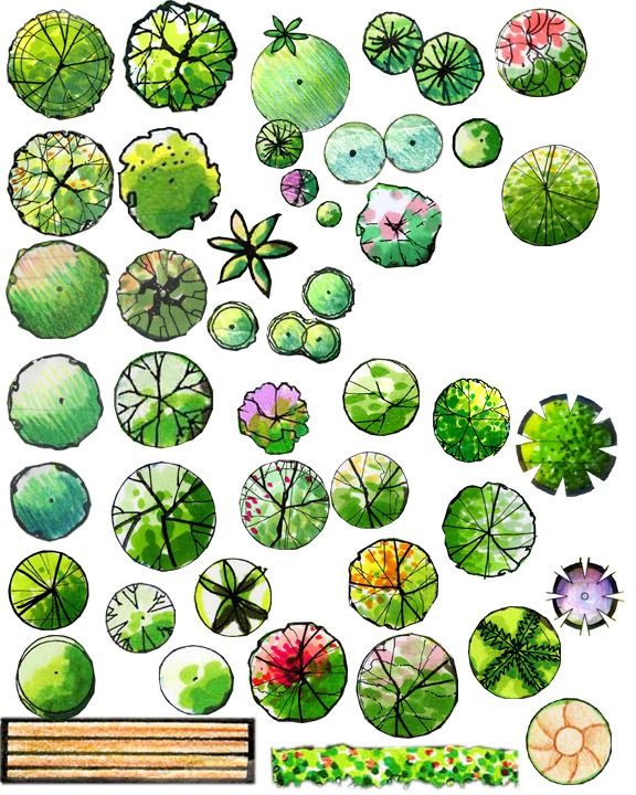 园林景观手绘植物PS平面素材（PSD格式）