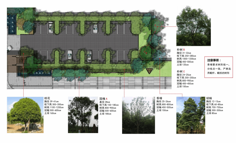 现代展示区景观施工效果控制手册
