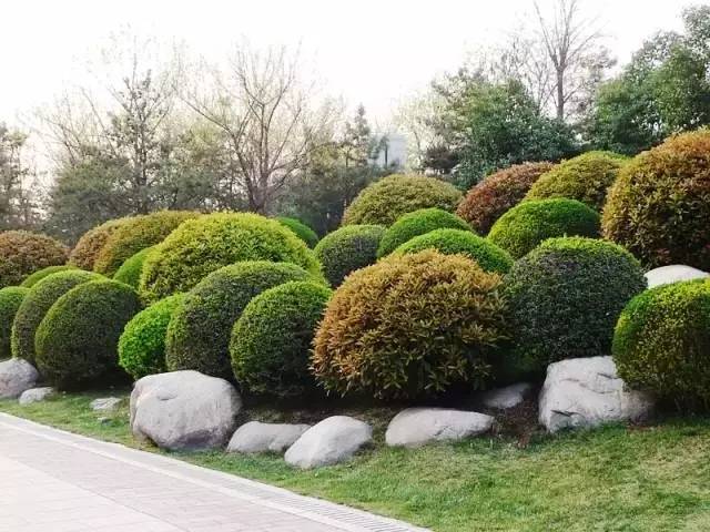 最全的植物景观设计总则_2