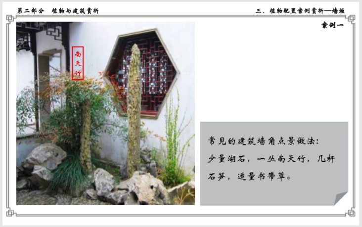 浅谈植物与中式建筑的关系(145页)-常见的建筑墙角点景做法 浅谈植物与中式建筑的关系(145页)-常见的建筑墙角点景做法