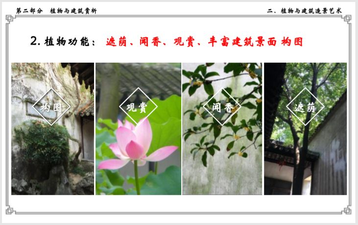 浅谈植物与中式建筑的关系(145页)-植物功能 浅谈植物与中式建筑的关系(145页)-植物功能