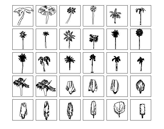 常用景观植物CAD图块-园林树木立面