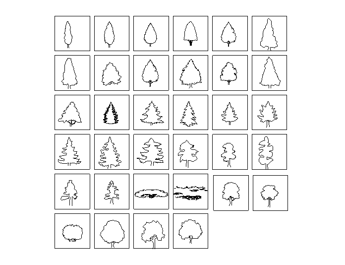 常用景观植物CAD图块-园林树木立面