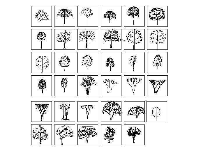 常用景观植物CAD图块-园林树木立面