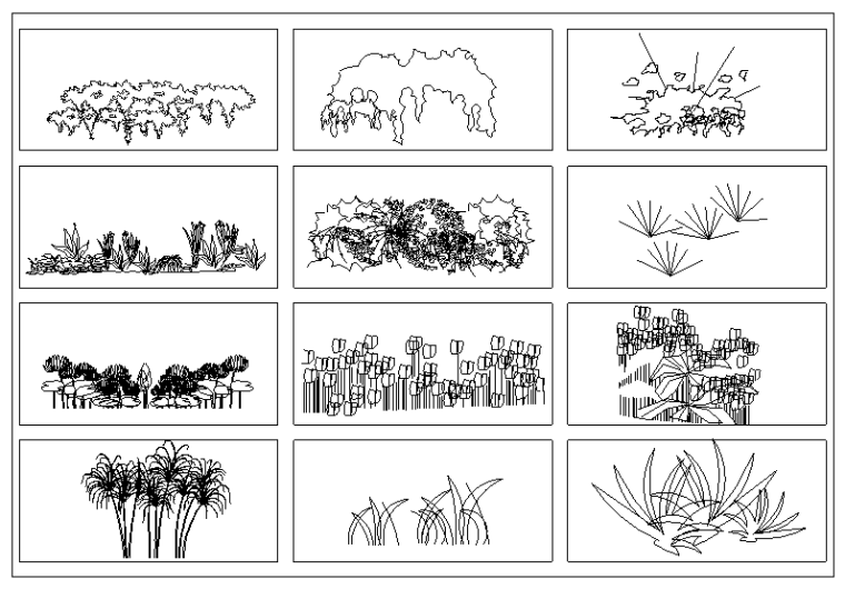 常用景观植物CAD图块-园林花草立面