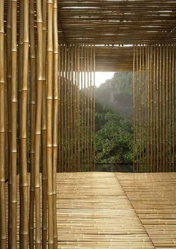 景观竹——寓情于景，情景交融，以物言志