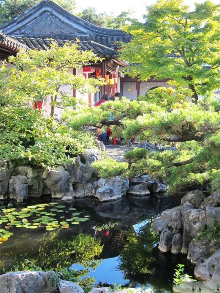 当植物遇见叠石-假山植物造景技巧 当植物遇见叠石-假山植物造景技巧