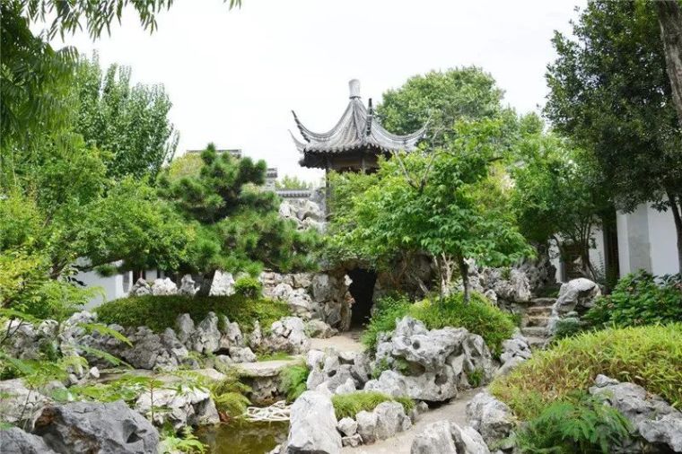 当植物遇见叠石-假山植物造景技巧 当植物遇见叠石-假山植物造景技巧