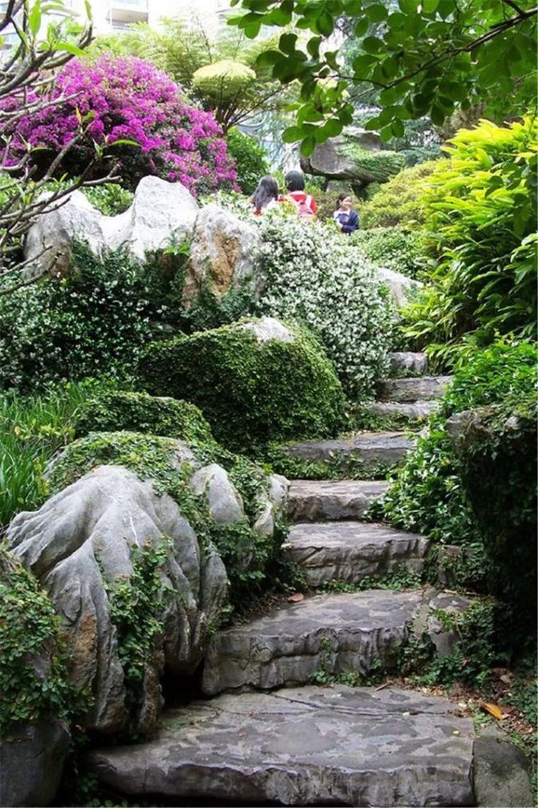 当植物遇见叠石-假山植物造景技巧