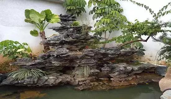 当植物遇见叠石-假山植物造景技巧 当植物遇见叠石-假山植物造景技巧