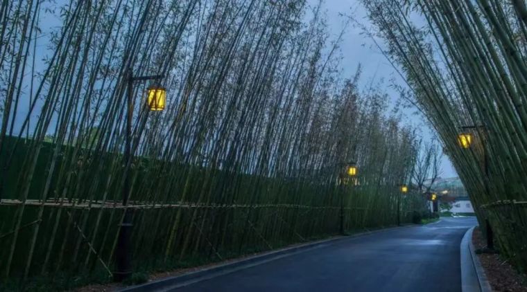 南方和北方的景观差异分析 南方和北方的景观差异分析