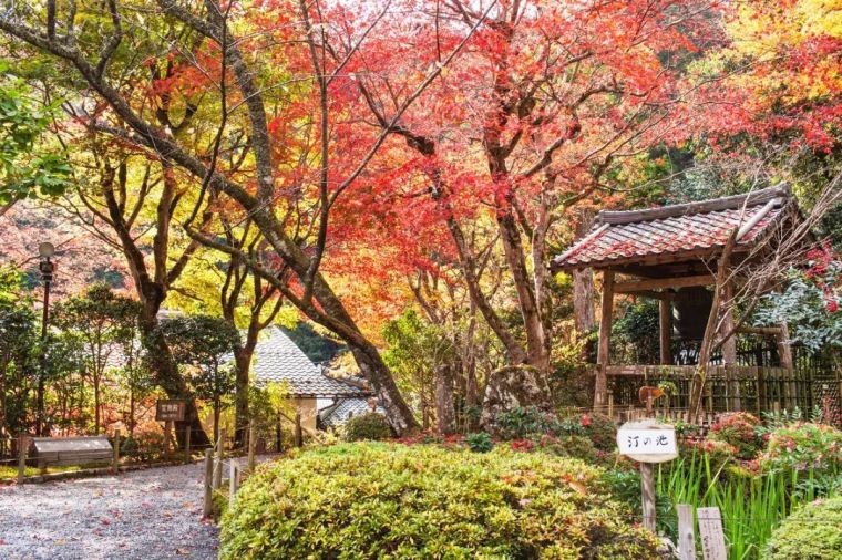 纯净、极致、而有章法的日式庭院景观