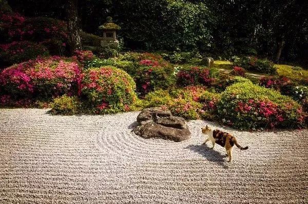 纯净、极致、而有章法的日式庭院景观