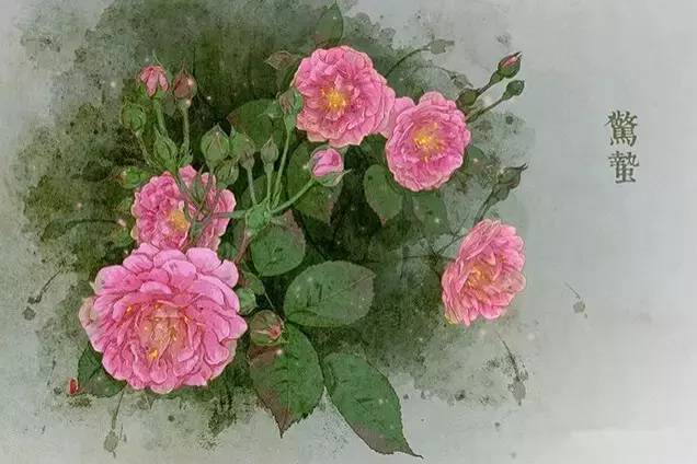 24节气与之相对应的植物 24节气与之相对应的植物