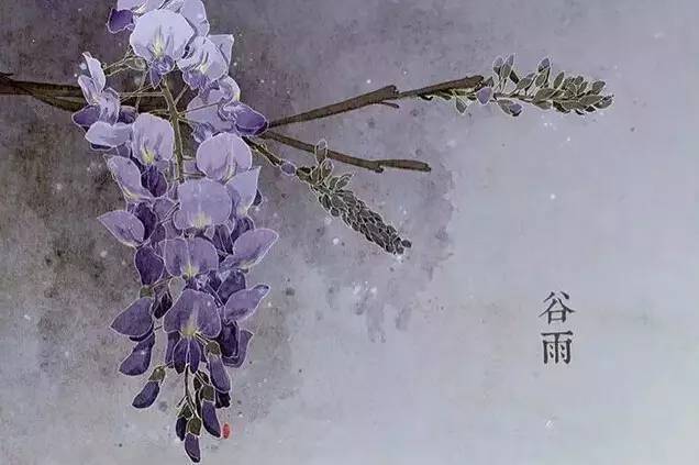 24节气与之相对应的植物 24节气与之相对应的植物