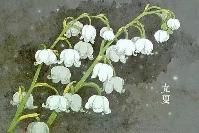 24节气与之相对应的植物 24节气与之相对应的植物