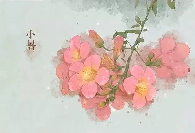 与24节气相对应的植物 与24节气相对应的植物