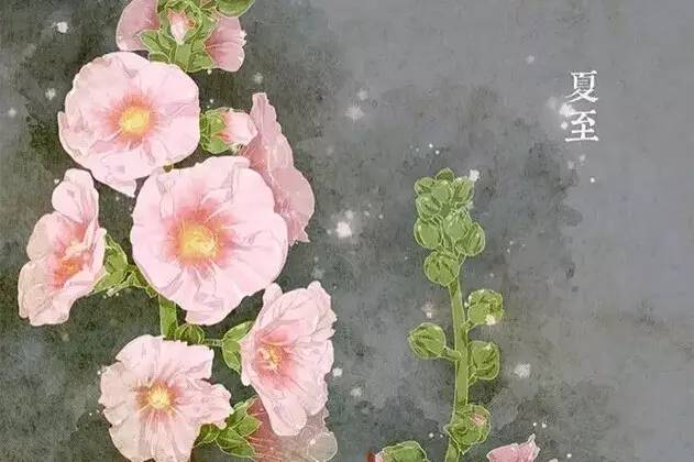 24节气与之相对应的植物 24节气与之相对应的植物