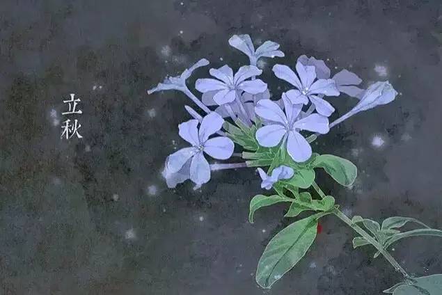 与24节气相对应的植物 与24节气相对应的植物