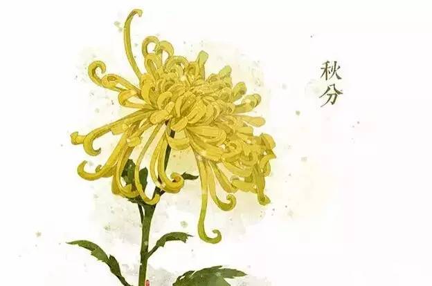 与24节气相对应的植物 与24节气相对应的植物