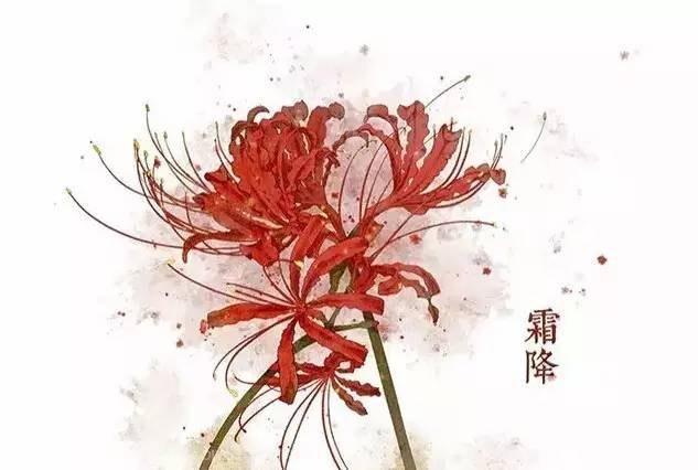 与24节气相对应的植物 与24节气相对应的植物