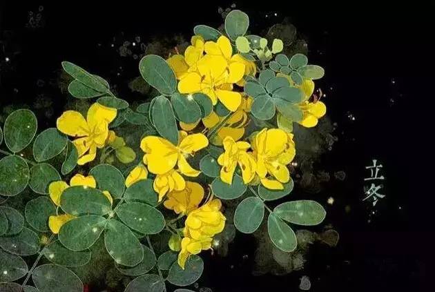 与24节气相对应的植物 与24节气相对应的植物